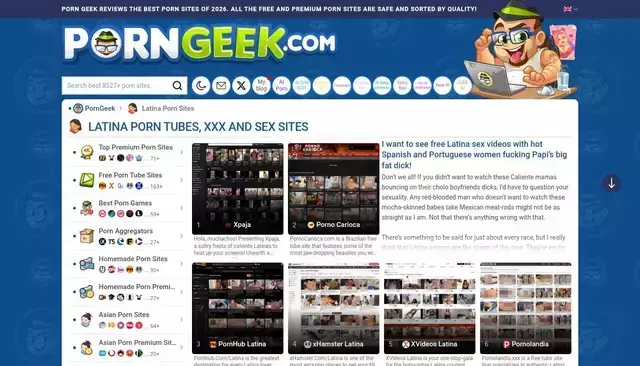 porngeek.com homepage screenshot