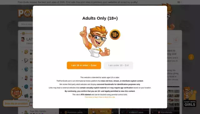 theporndude.com homepage screenshot